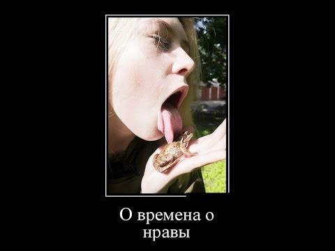Русские демотиваторы. В активном поиске и про Путь к сердцу мужчины! BEST Demotivators.